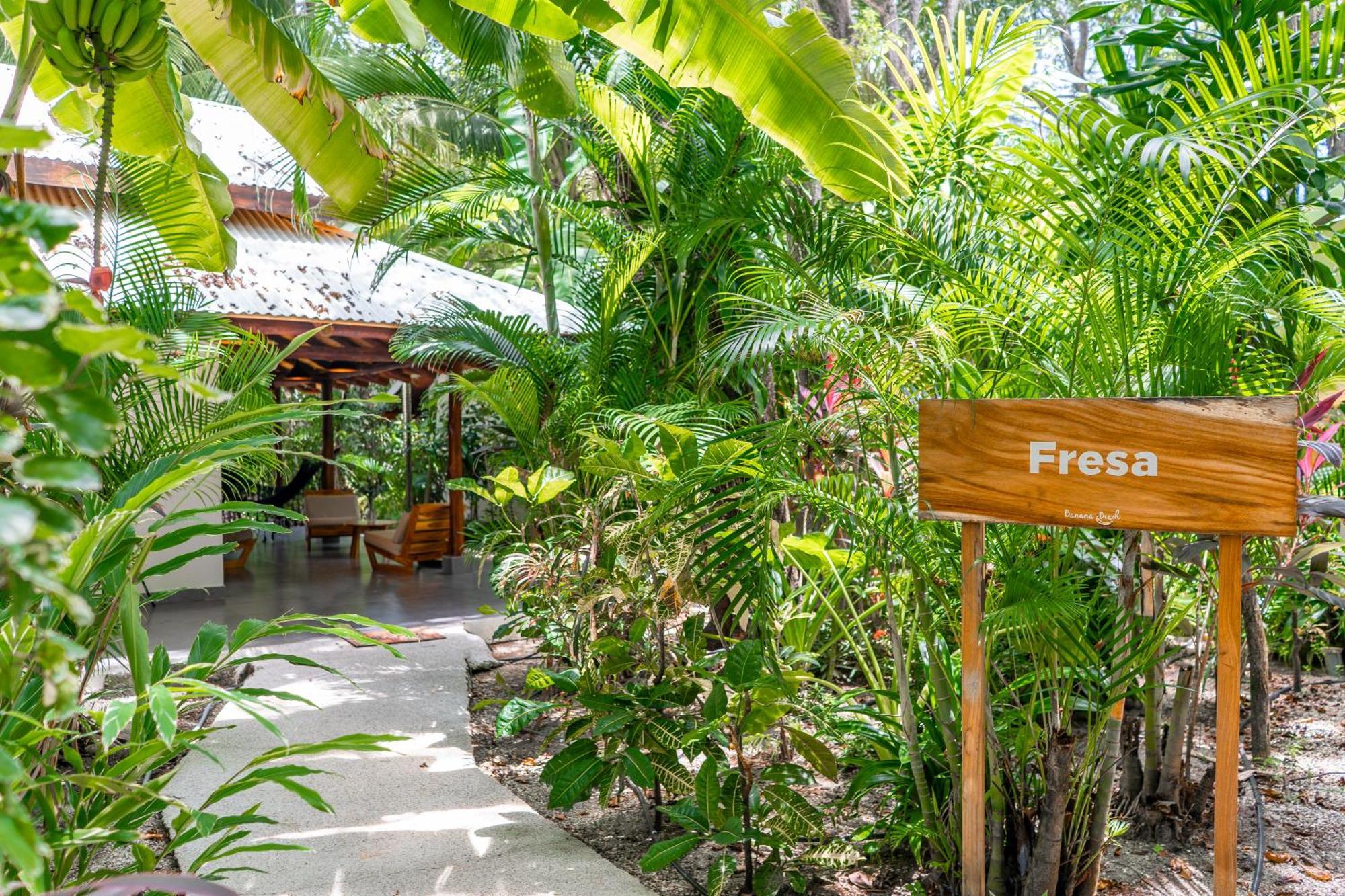 Banana Beach Bungalows Playa Santa Teresa (Puntarenas) Exterior foto