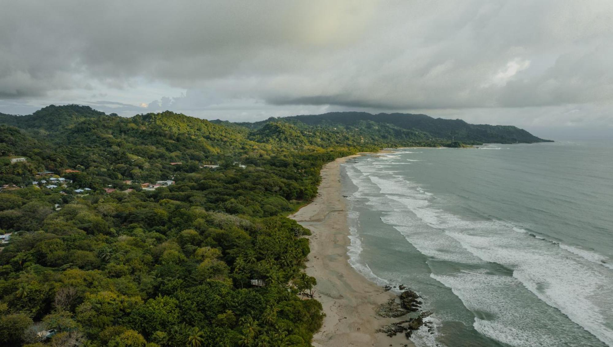Banana Beach Bungalows Playa Santa Teresa (Puntarenas) Quarto foto